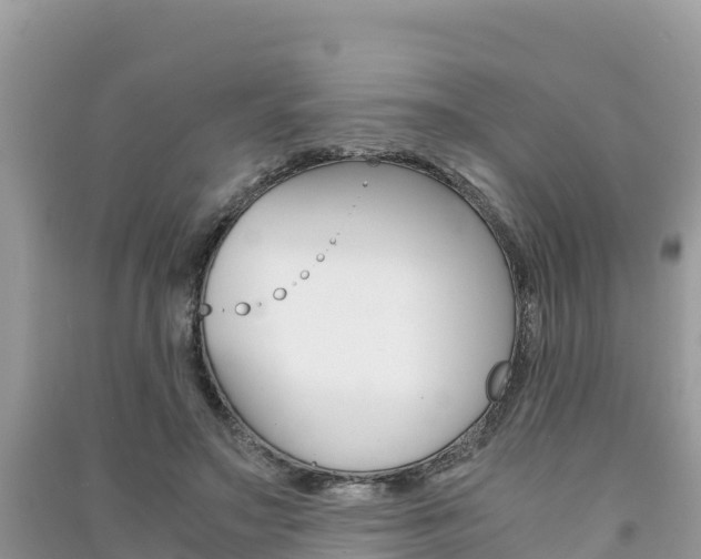 X0000091300499200708101051