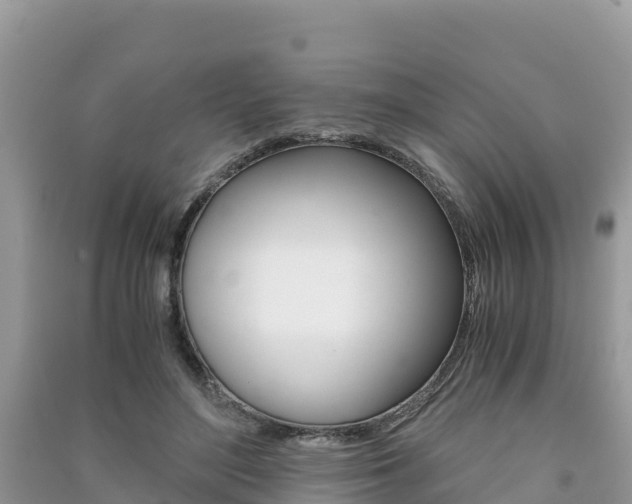 X0000091300500200708101051