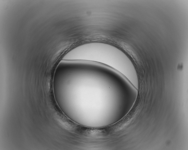 X0000091300501200708101051