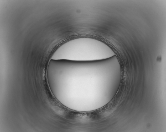 X0000091300502200708101051
