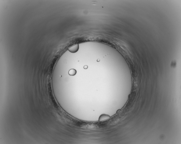 X0000091300503200708101051