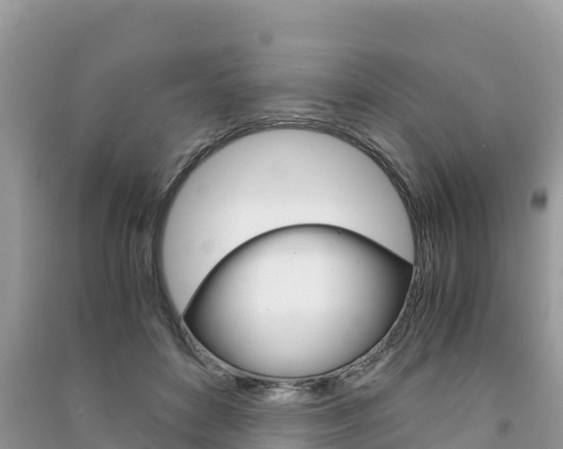 X0000091300504200708101051