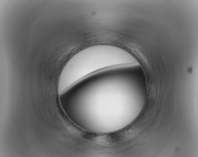 X0000091300505200708101051