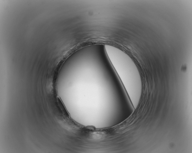 X0000091300508200708101050