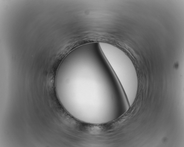X0000091300513200708101050