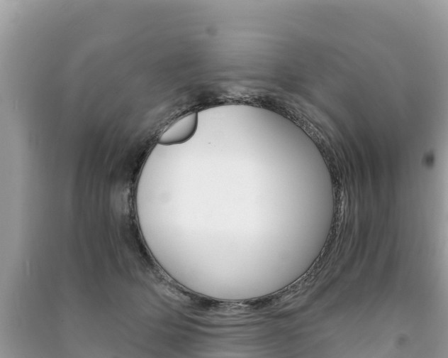 X0000091300514200708101050