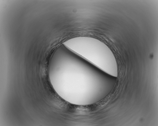 X0000091300515200708101050