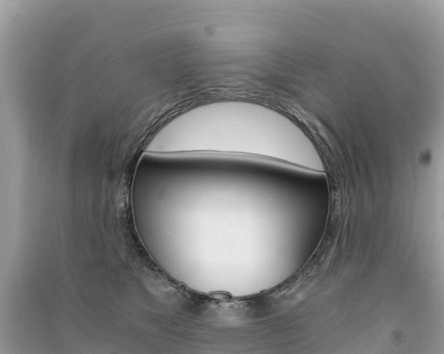 X0000091300517200708101050