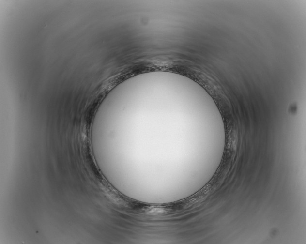 X0000091300518200708101050