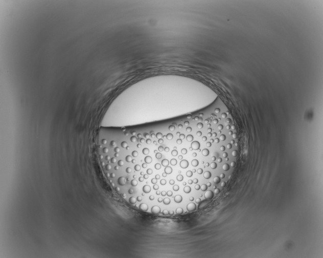 X0000091300519200708101050