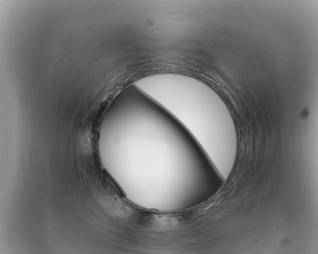 X0000091300520200708101050