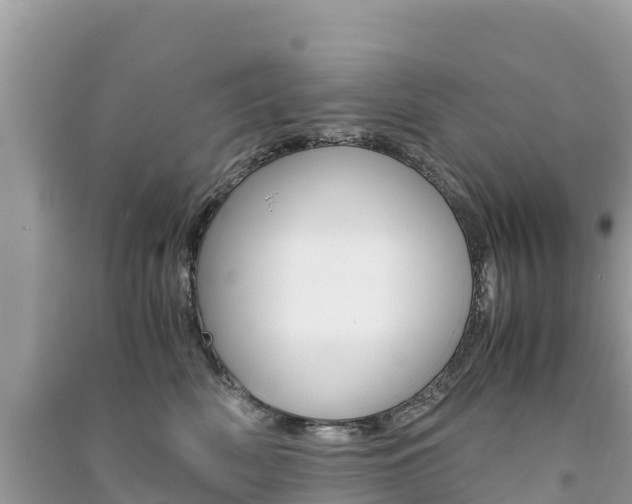 X0000091300522200708101050