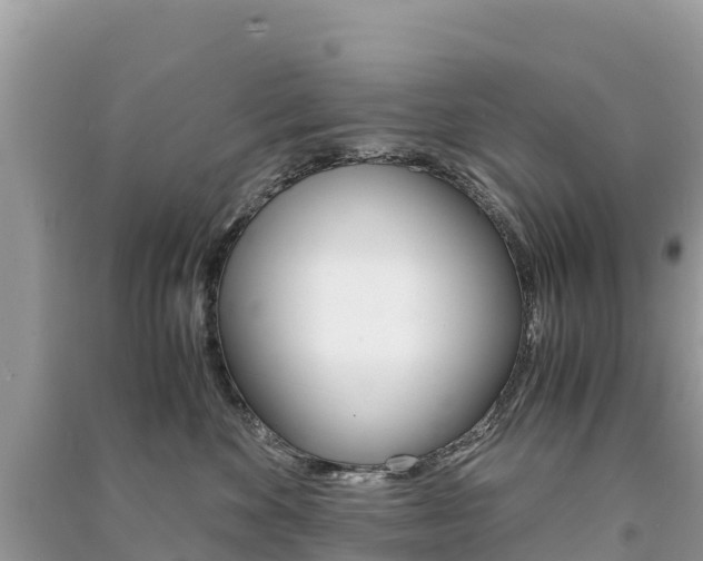 X0000091300524200708101050