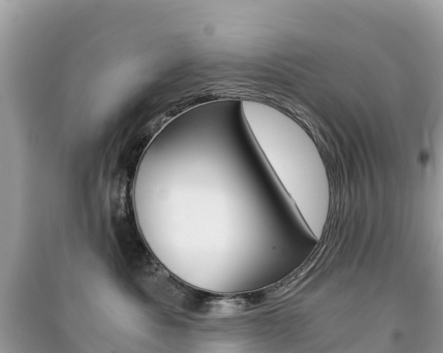X0000091300525200708101050