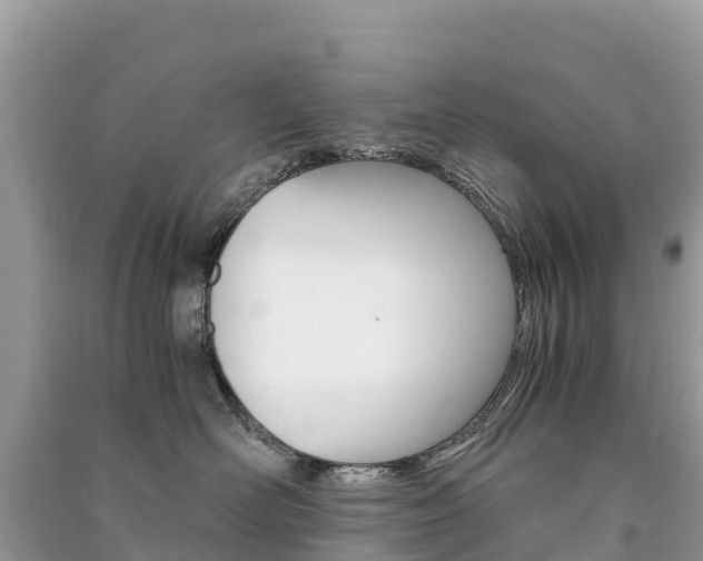 X0000091300526200708101050