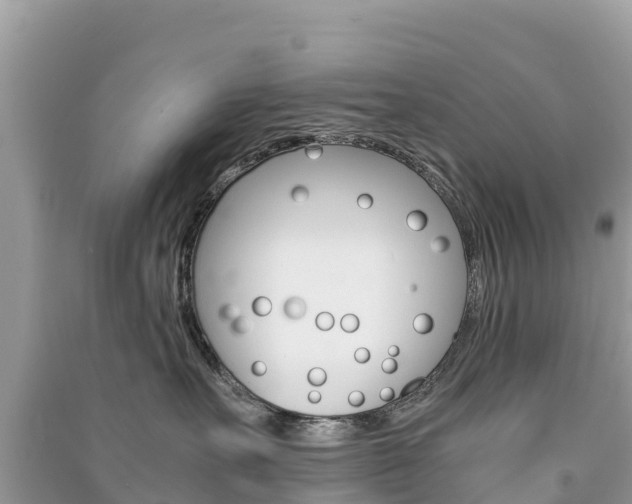 X0000091300527200708101050