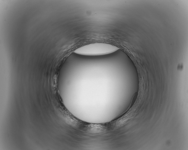 X0000091300528200708101050
