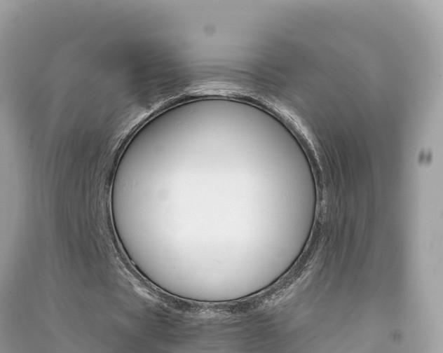 X0000091300529200708101049