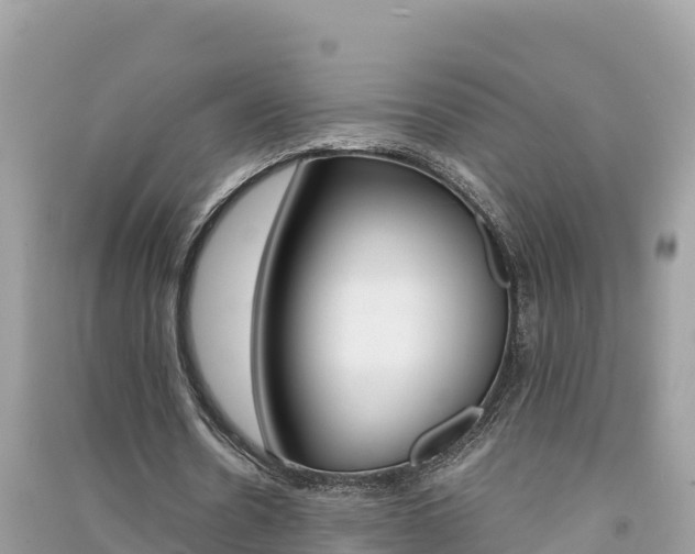 X0000091300530200708101049