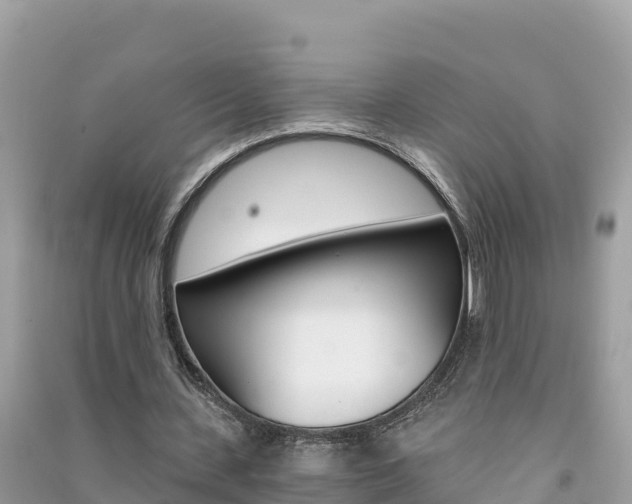 X0000091300531200708101049