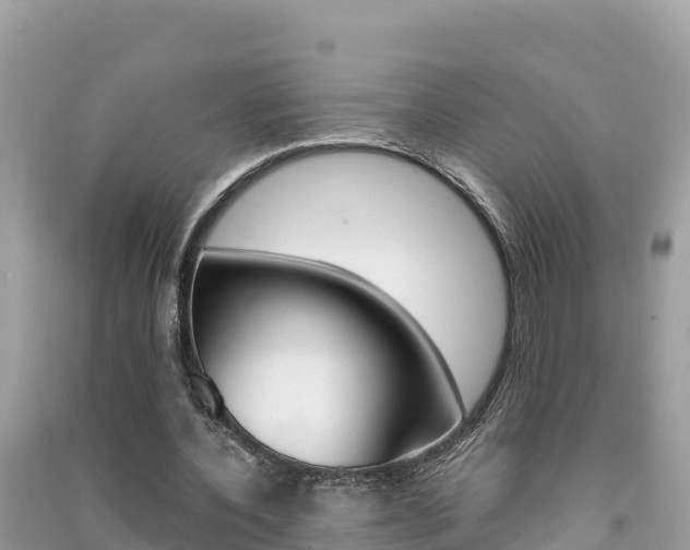 X0000091300532200708101049