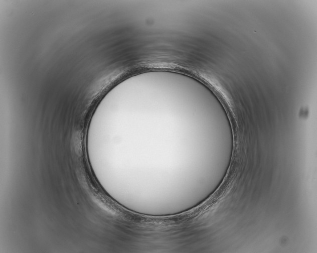 X0000091300533200708101050