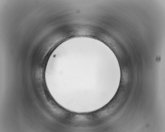 X0000091300534200708101050