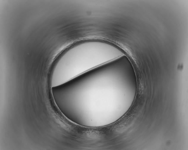 X0000091300535200708101050
