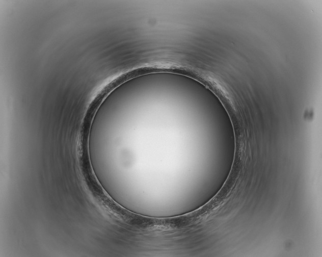 X0000091300536200708101050