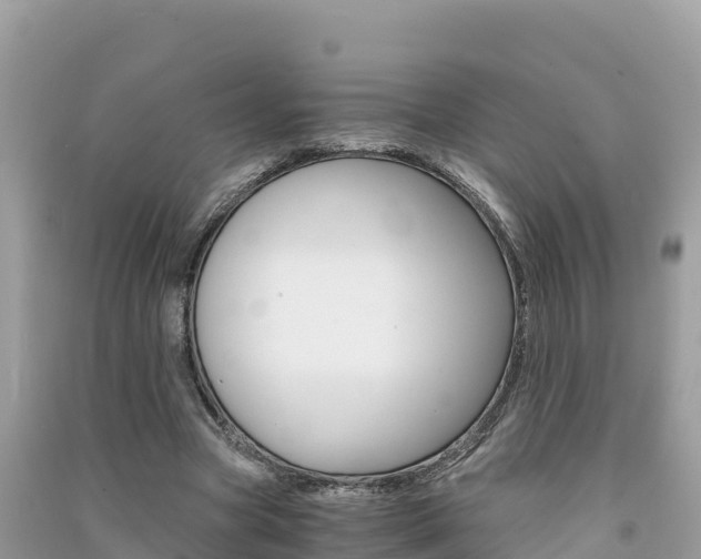 X0000091300537200708101050