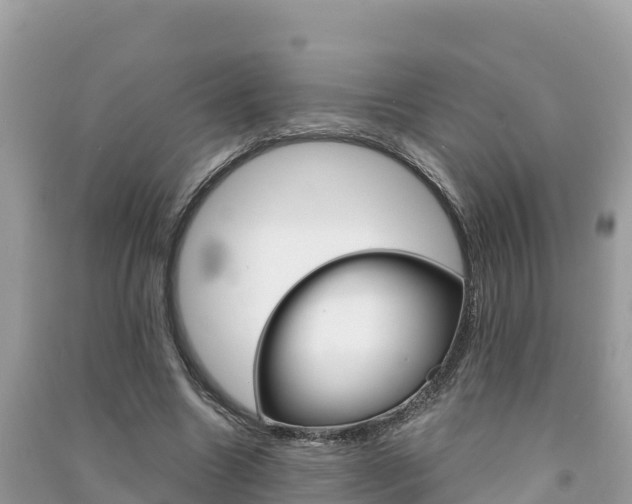 X0000091300538200708101050
