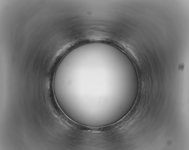X0000091300539200708101050