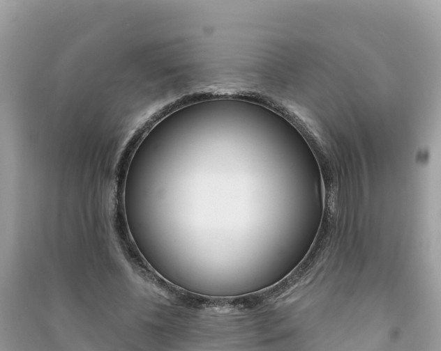 X0000091300540200708101050