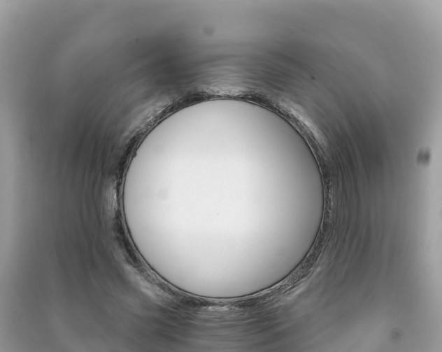 X0000091300541200708101050