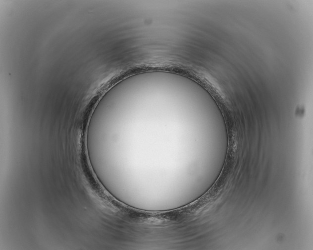 X0000091300542200708101050