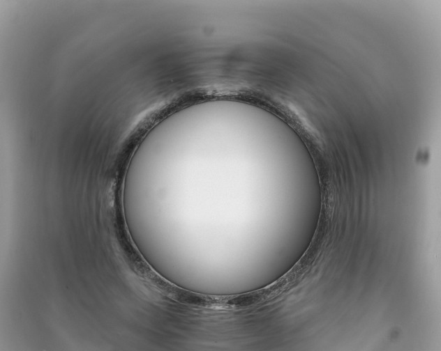 X0000091300543200708101050