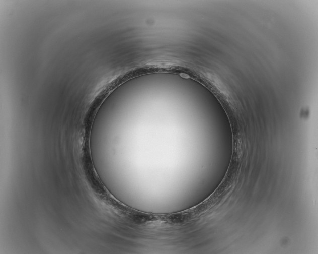 X0000091300544200708101050