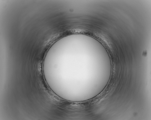 X0000091300545200708101050