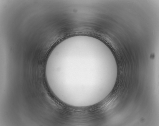 X0000091300546200708101050