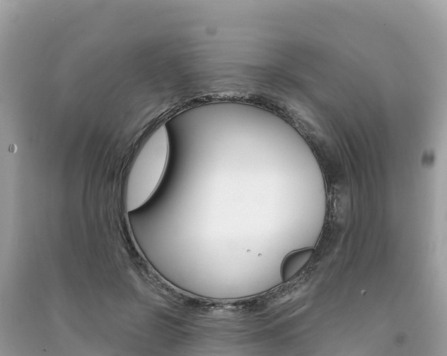 X0000091300550200708101050