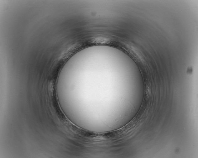 X0000091300551200708101050