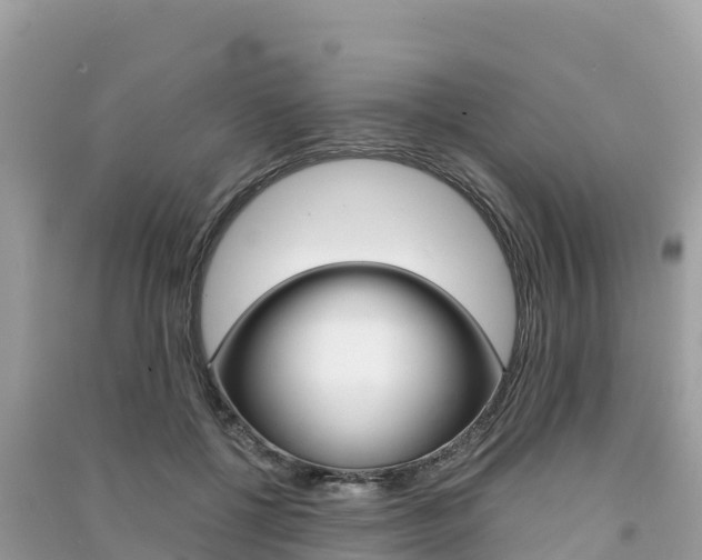 X0000091300552200708101050
