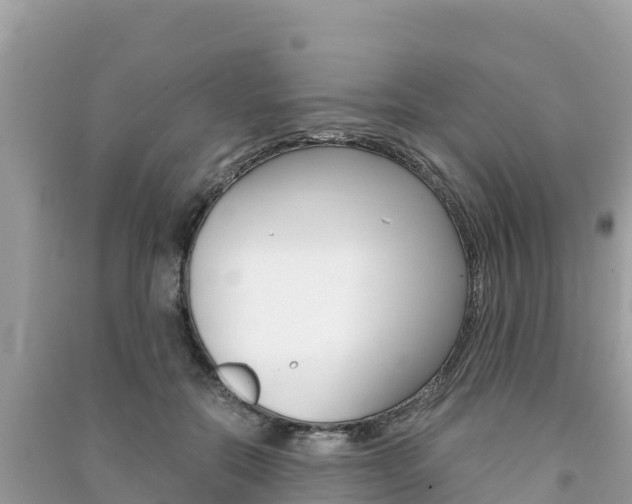 X0000091300554200708101050