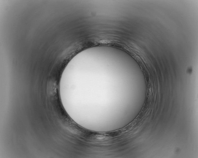 X0000091300555200708101050