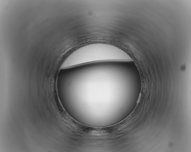 X0000091300556200708101050
