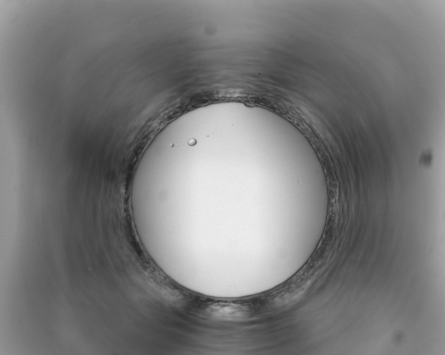X0000091300557200708101050