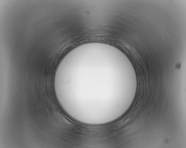 X0000091300558200708101050