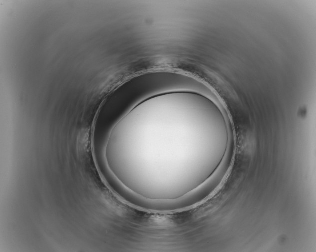 X0000091300560200708101050