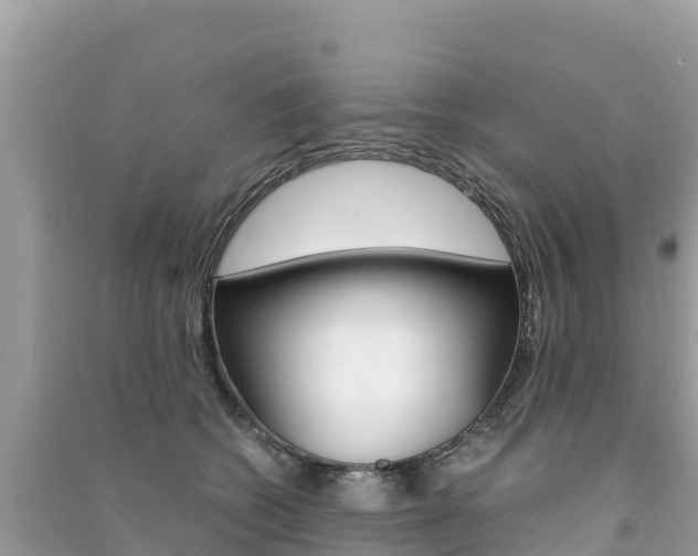 X0000091300562200708101050