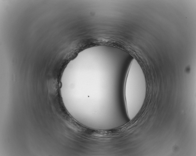 X0000091300563200708101050